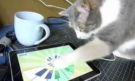 1014304.large Iggy Iggy and iPad