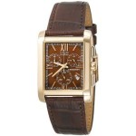 Citizen Men's Solar Watch