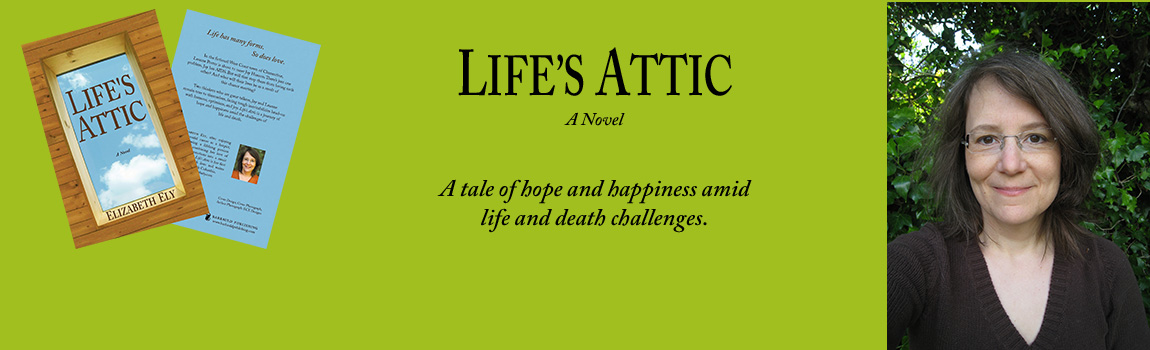 Book and Author Information